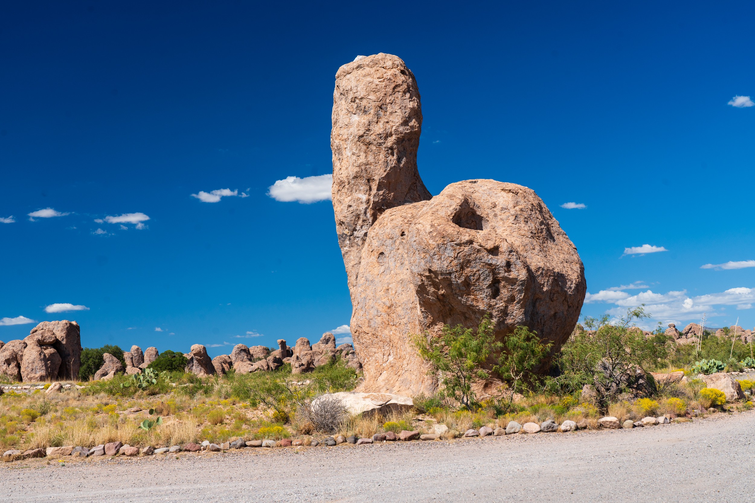 USA 2024 5 Sterne 66